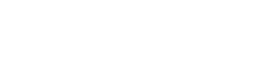 fly right logo white
