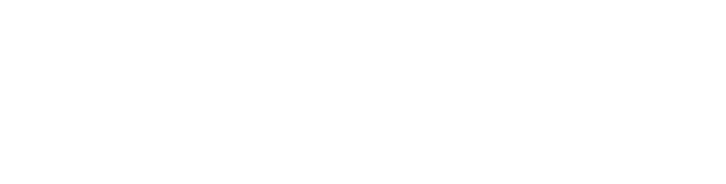 fly right logo white
